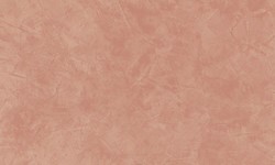 Decorazza STUCCO VENEZIANO / Цвет #SV  10-64